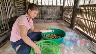 Let's watch the girl pick plums and preserve them in white sugar-digging the soil to expand her yard
