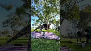 Yoga in the park!