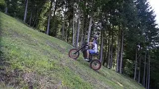 Vector Vortex ebike