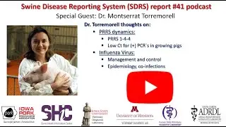 Swine Disease Reporting System - Report 41 - Dr Montserrat Torremorell