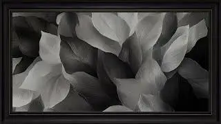 Elegant Botanical Petals Abstract Monochrome: Framed TV Art Screensaver 4K
