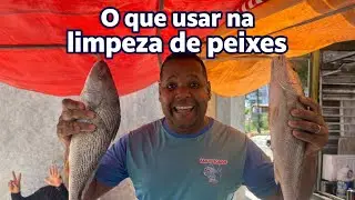 COMO  LIMPAR UM PEIXE? O que eu PRECISO?