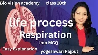 “Life Processes – Respiration | Class 10 Science | Complete Explanation + Important MCQs”