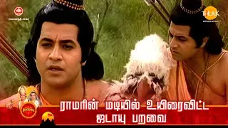 ராமானந்த் சாகரின் இராமாயண கதைகள் | ராமரின் மடியில் உயிரைவிட்ட ஜடாயு பறவை | Tilak Tamil