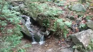Elk Garden to Mt. Rogers AT hike