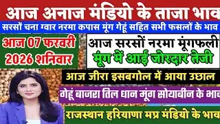 अनाज मंडी भाव| 07/02/2026 सरसों नरमा मूंग मूंगफली धान में आई जोरदार तेजी| आज जीरा इसबगोल में उछाल, 