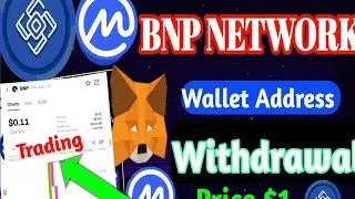 BNP NETWORK BNP wallet Addresses | BNP Network Contact address | #BNP NETWORK withdrawal