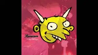Samiam - The New Red Years