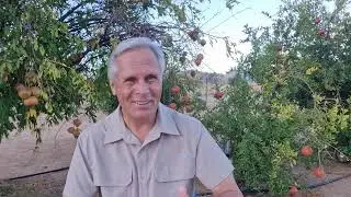 ELOHIM is naby die gebrokenes // Jy het 2 keuses // Kies lewe - Frik Weideman | Menorah Tabernakel
