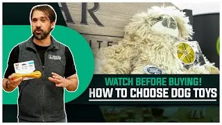 Choosing the Right Toys for Your Dog: 5 Mistakes to Avoid and 5 Smart Alternatives!