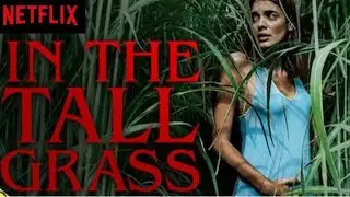 new series on Netflix 2.2/ in the tall grass/ #netflixseries @Netflix2.2