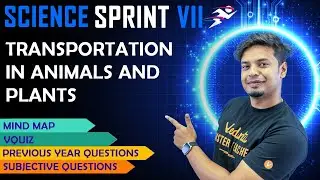 Transportation in Animals and Plants | CBSE Class 7 Science | Final Exam Sprint @Vedantu6-8