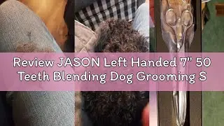 Review JASON Left Handed 7