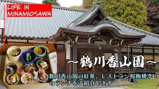 【鶴川香山園】の紅葉、レストラン桜梅桃李のランチをご紹介します。#鶴川 #香山園 #桜梅桃李