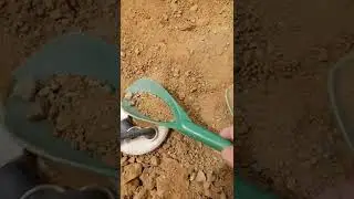 Metal Detecting, nugget, gold, Dale Mining District,