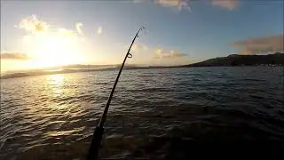 NEW ZEALAND TROUT FISHING SPINNING FOR BROWNS 6