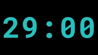 29 minutes timer