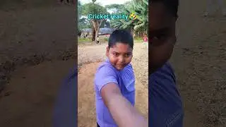 Cricket reality 🤣- #shorts #funny #cricket #comedy #nurtangtoka #odia