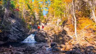 Fall Hike to Raggedy Ass Falls  |  New Brunswick