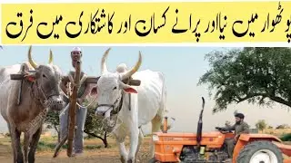 life in potohar | new and old way of cultivation of peanut and wheat #potohar #cultivation #pothwar
