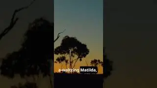 Waltzing Matilda #music ￼ #history