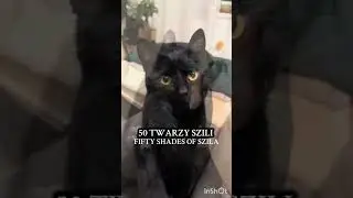FIFTY SHADES OF SZILA 🐈&zwj;⬛