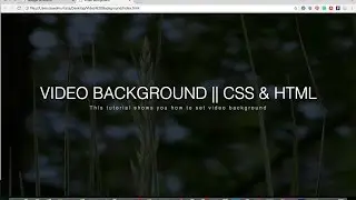 How to set Video Background using pure CSS and HTML