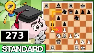 Стандартные шахматы № 273: Игра 2 против Тома (отказанный ферзевой гамбит)