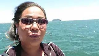 Whale Watching Long Beach CA - HABOR BREEZE CRUISE 2021