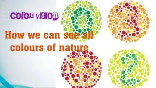 #NEET2022 #Colorvision How to see the colourful world #YoungHelmholtz theory #trichromatictheory