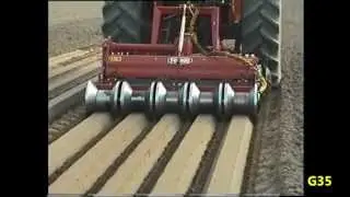 FORIGO video completo gamma ORTICOLA