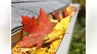 How Leaf Protection System Protects Your Home