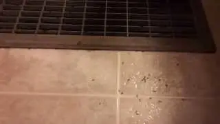 Ant infestation? No problem! Great home remedy.