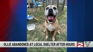 Clinton Woman Charged with Abandonment of Dog at Rome Humane Society