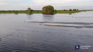 local engine Tl43 RC boat
