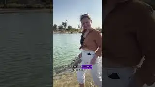 Оазис в пустыне (30 мин от Дубая) #dubai #dubailife #русскиеэмираты #dubaitravel #дубай
