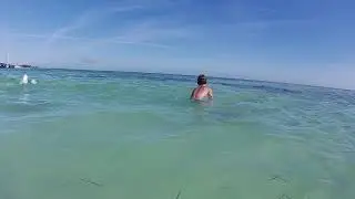 Snorkeling with Snook, Yellow-Spotted Stingray - Florida Keys - 01-24-21