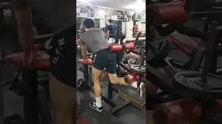 standing leg curl🦵 #gymlegday#fitgym