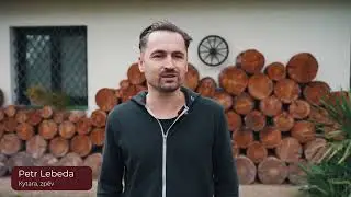 Insights Discovery - Rybičky 48
