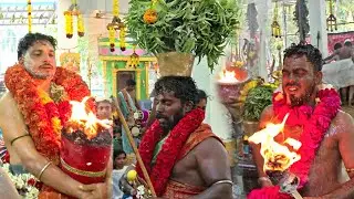 விஜயநகரி முத்தாரம்மன் கோவில் கொடை விழா | உஜ்ஜையினிமாகாளி, மாரியம்மன் | சாமி ஆட்டம் | கருங்கிடாகாரன்