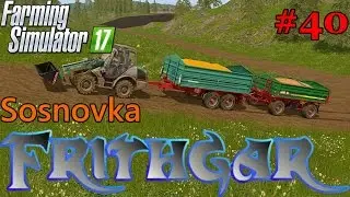 Let's Play Farming Simulator 2017, Sosnovka #40: ProSeed Mod And Pig Feeding!