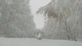 Русская зима. Russian Winter