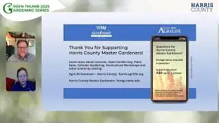 The Green Thumb: Composting