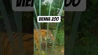 A Quiet Afternoon at Vienna Zoo &ndash; Walking Tour with Sounds of Nature  #travel