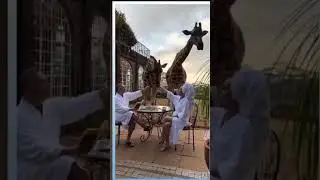 animal funny moments funny videos #viral #please #wow #kids #funnyvideo #mustwatch #funny