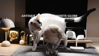 Elon Musk Owns This Globe&hellip; and Now I Do Too!！會自己旋轉的 MOVA 地球儀太美了｜Antique Terrestrial White Globe