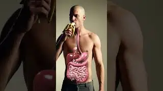 What Happens When You Eat a Banana | 3D Digestive System Animation