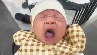 Mochi Đón Năm Mới 2026