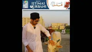 The Joy OF SHARING ON EId