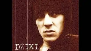 DZIKI   Pseudo rodzice